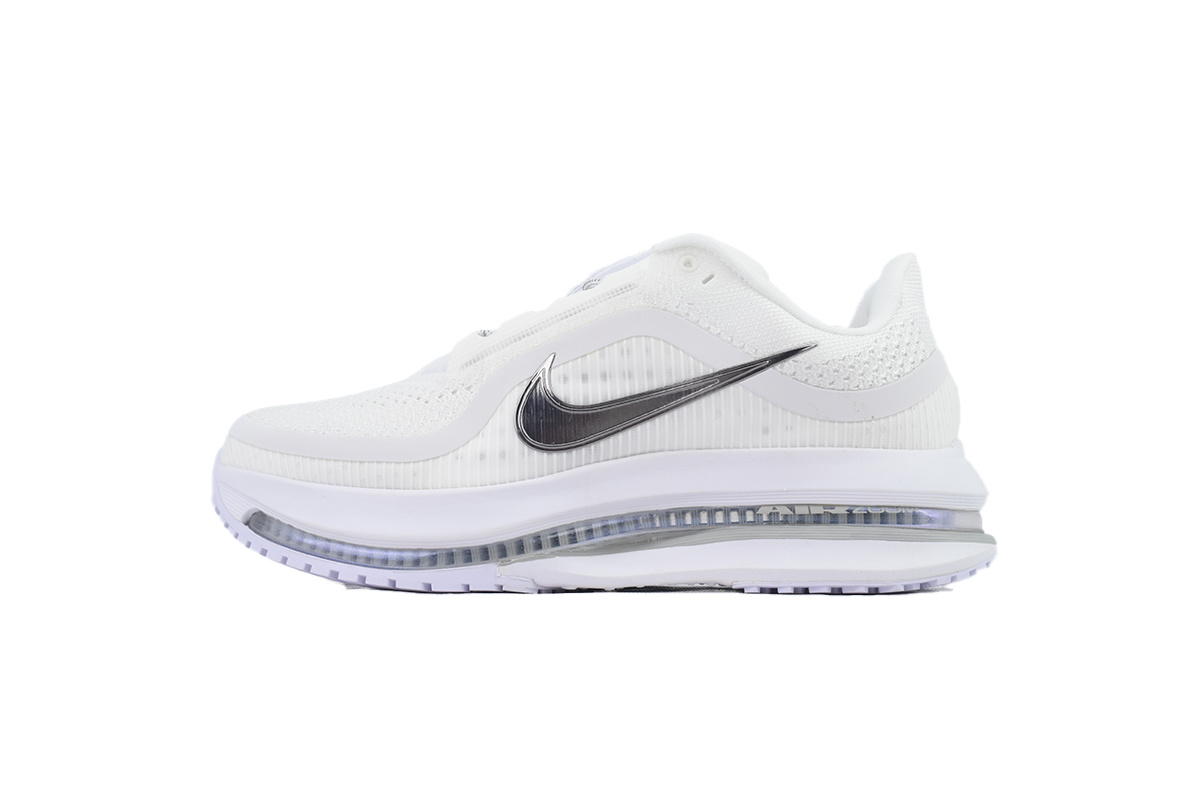 Nike Pegasus Premium White Metallic Silver HQ2592-102