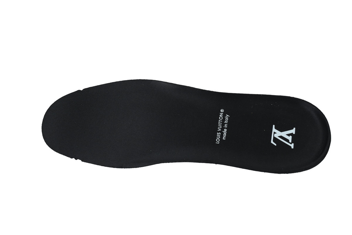Louis Vuitton LV Skate Sneaker Plum Blossom Drill in Black