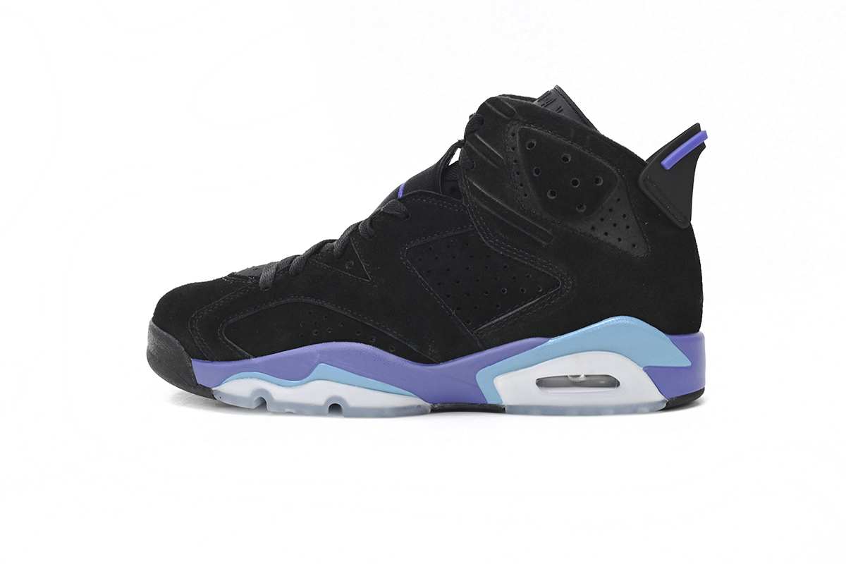 Air Jordan 6 GRAPE CT8529-004