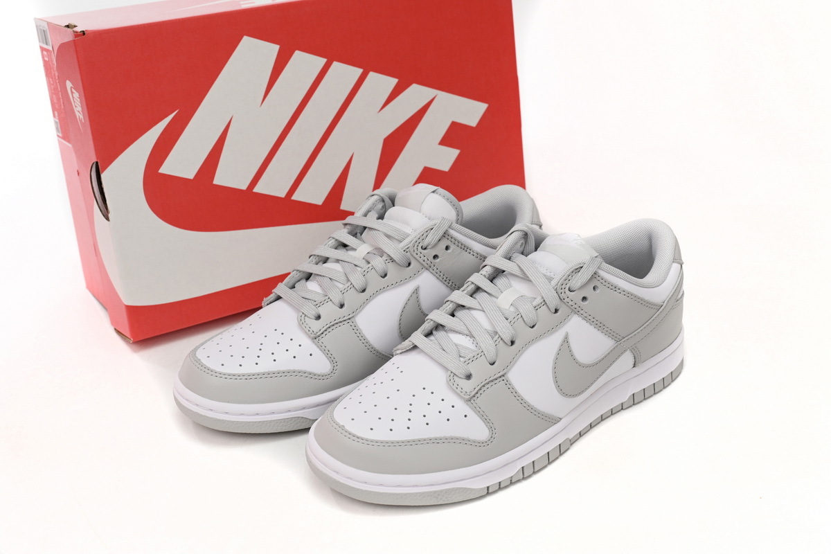 Nike Dunk Low Hoary DD1391-103