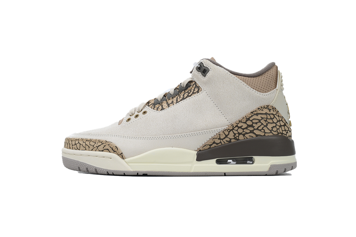 Air Jordan 3 Retro Palomino CT8532-102