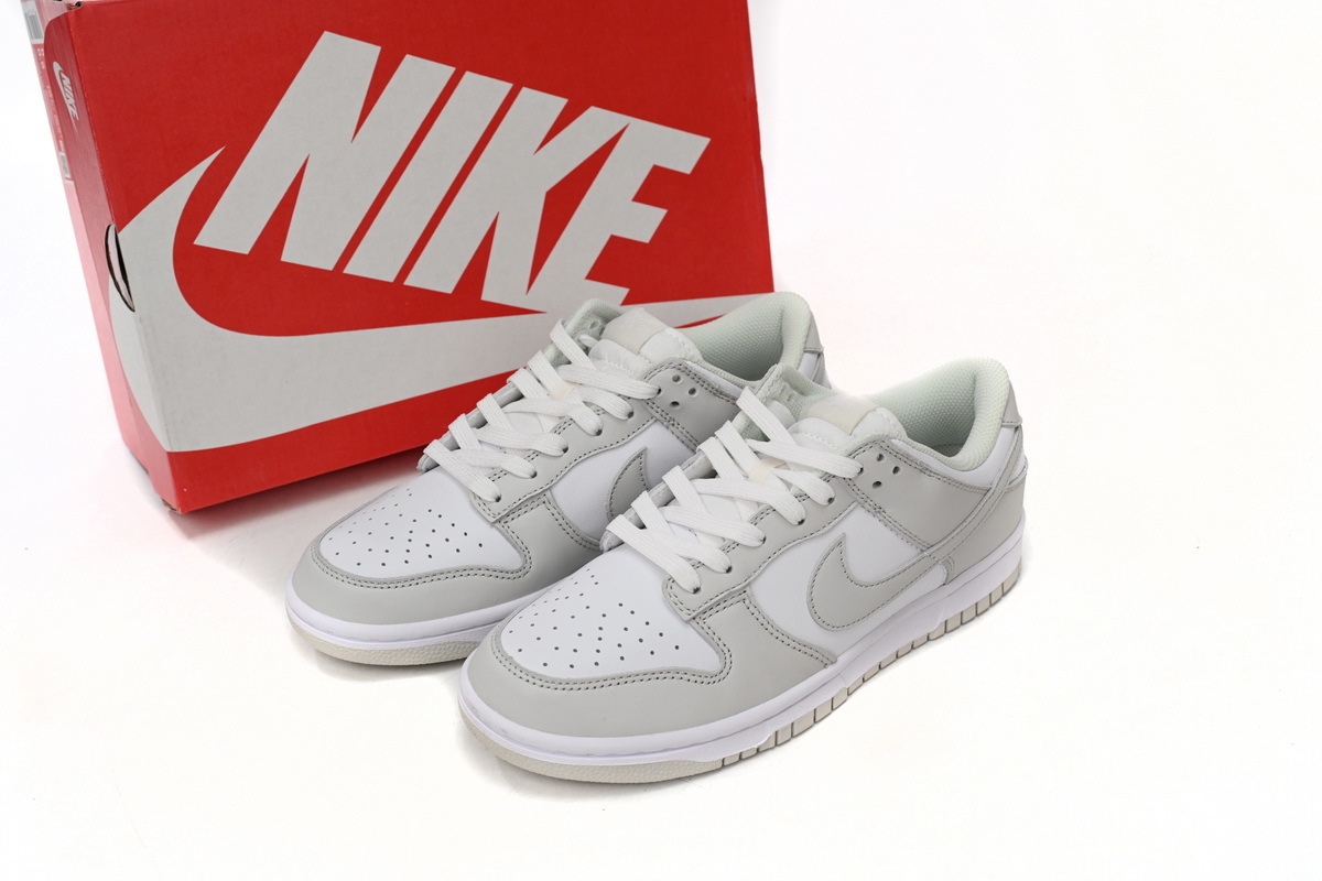 Nike Dunk Low Photon Dust DD1503-103