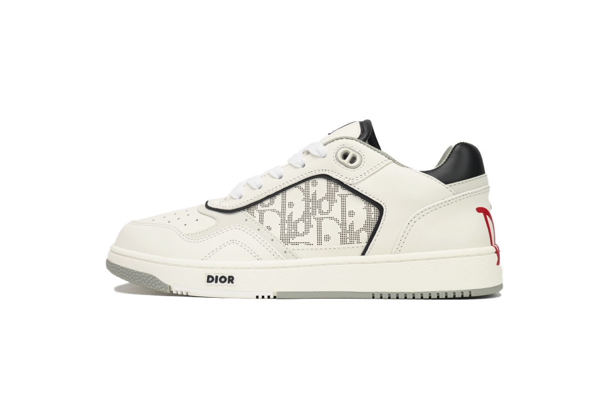 DIOR WHITE GREY B27 LOW SNEAKER