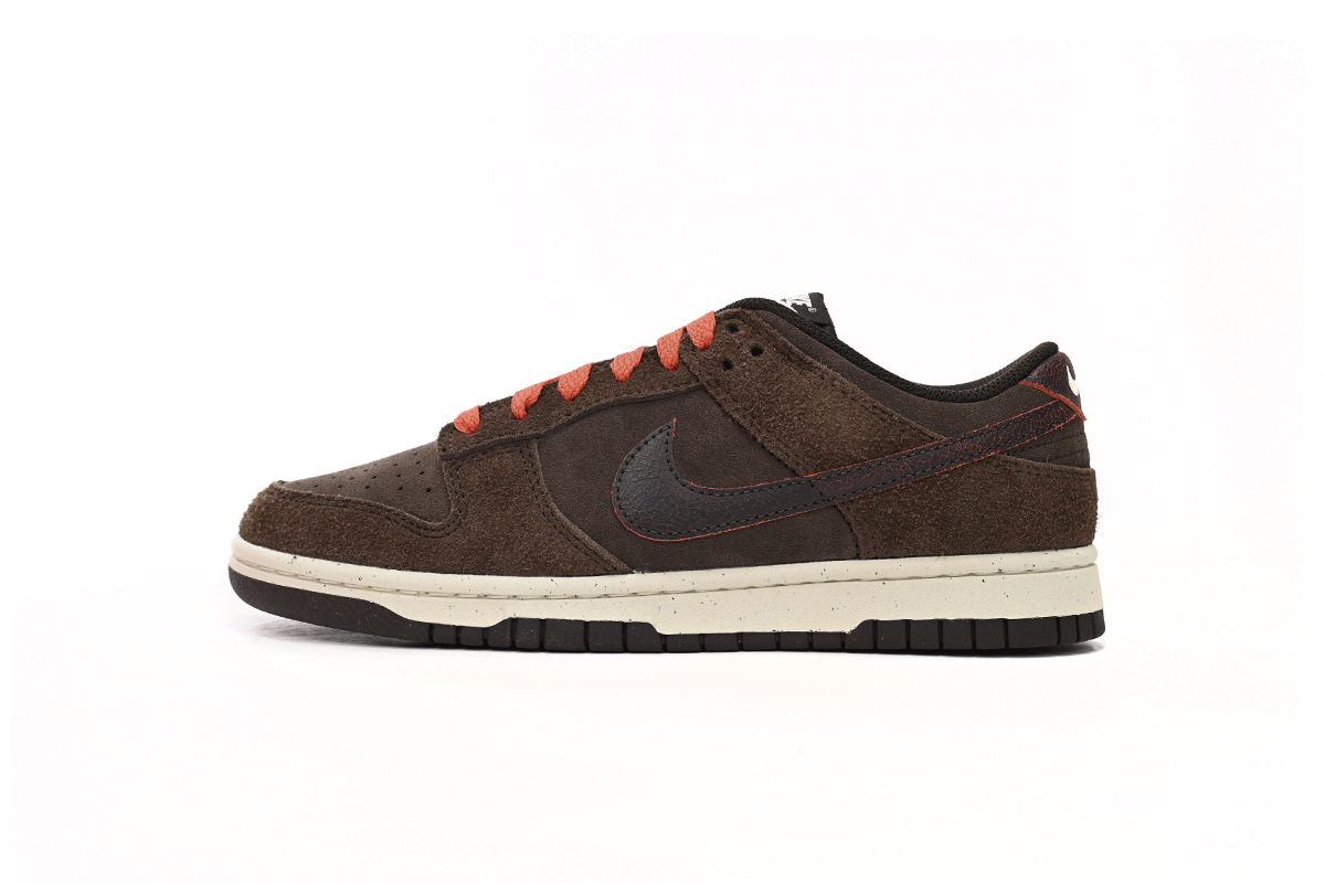 Nike Dunk Low Baroque Brown DQ8801-200