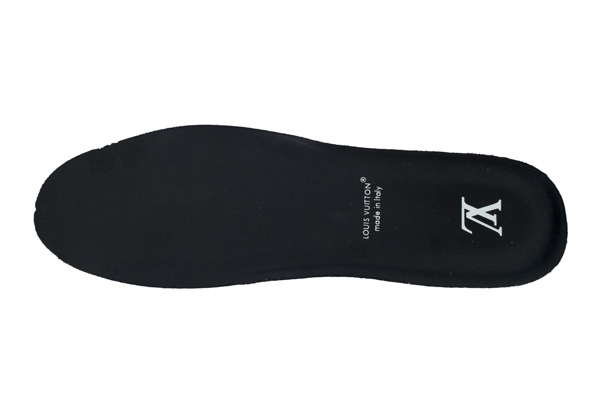 Louis Vuitton Sneaker Black Skin And White Background