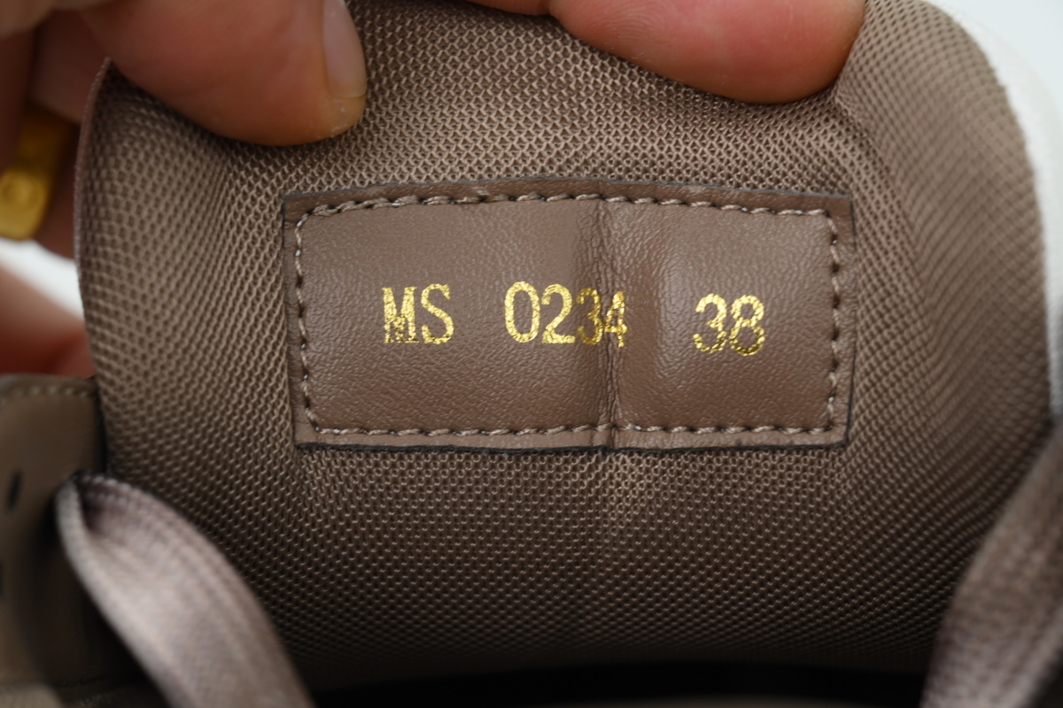 Louis Vuitton LV Taupe Trainer